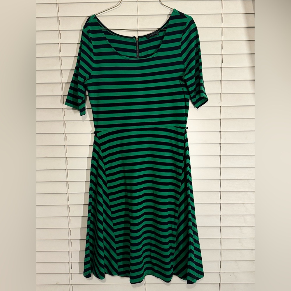 The Limited Emerald and Black Striped Midi Dress